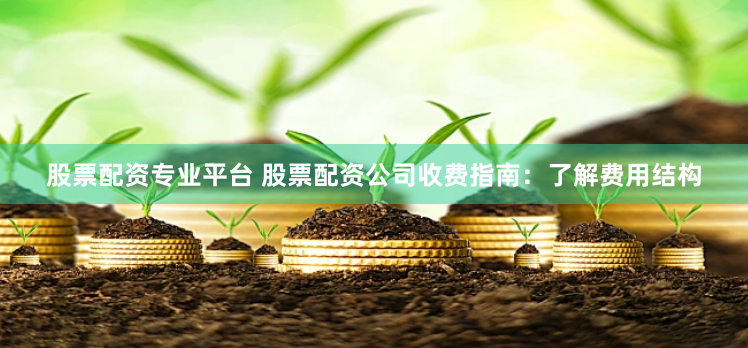 股票配资专业平台 股票配资公司收费指南：了解费用结构