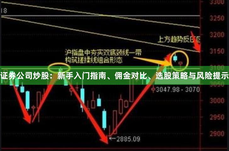 证券公司炒股：新手入门指南、佣金对比、选股策略与风险提示